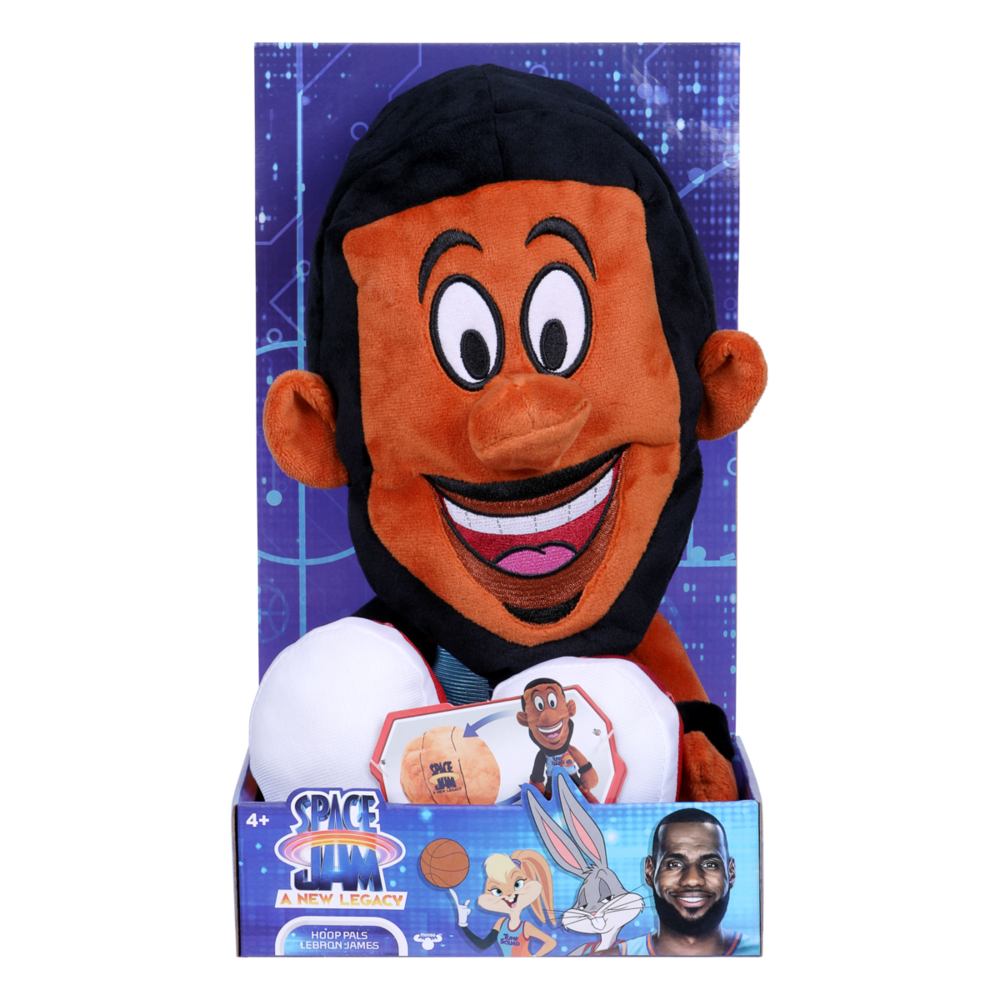 lebron james mini hoop
