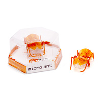 HEXBUG - Micro Ant - Orange