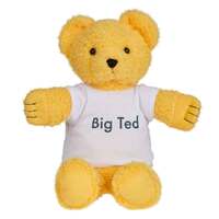 ABC Kids Play School Big Ted Soft Plush Toy 40cm