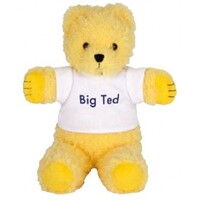 ABC Kids Play School Big Ted Beanie Soft Toy 25cm