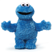 Sesame Street Cookie Monster Soft Plush Toy 25cm