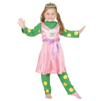 The Wiggles Premium Dorothy The Dinosaur Costume Size 2-4