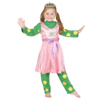 The Wiggles Premium Dorothy The Dinosaur Costume Size 2-4