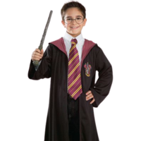 Harry Potter Dress Up Gryffindor Neck Tie