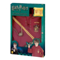 Harry Potter Deluxe Quidditch Costume Set - Size Large