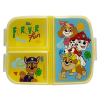 Paw Patrol Multi Compartment Container
