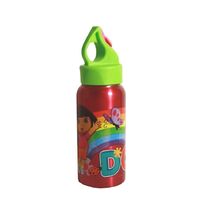 Dora 473ml Stainless Steel Bottle
