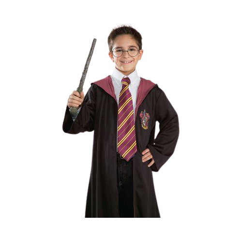 gryffindor dress up